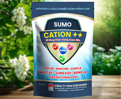 Sumo Cation++